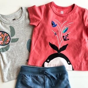 NWT size 9-12 months Tea Collection Bundle